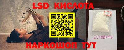 индика Рыбинск