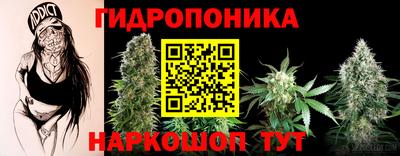 индика Рыбинск