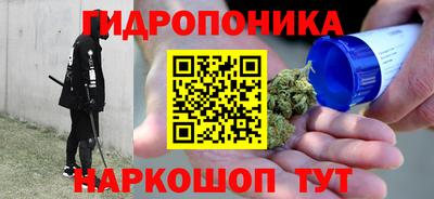индика Рыбинск