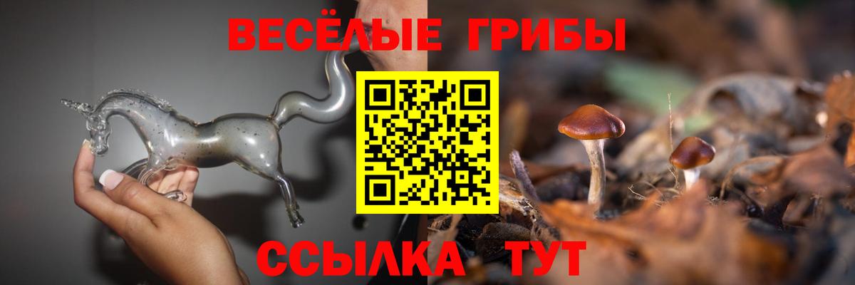 Псилоцибиновые грибы Cubensis  Галлюциногенные грибы мухоморы  Прохладный  Вход с VPN 
